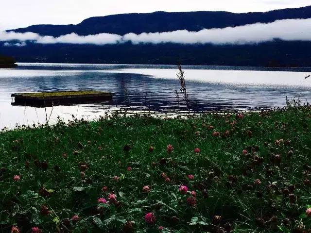 33.webp.jpg 糖心影院